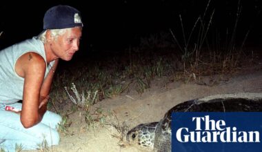 Israeli attack kills famed turtle sanctuary ecologist in Lebanon | Lebanon