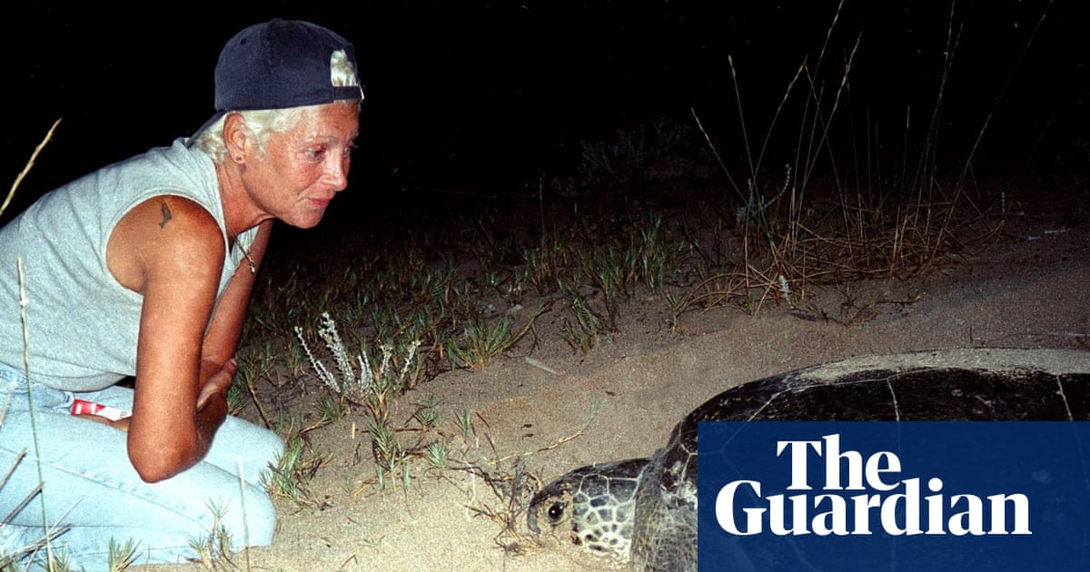 Israeli attack kills famed turtle sanctuary ecologist in Lebanon | Lebanon