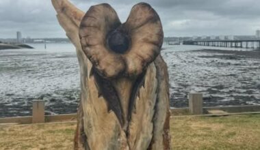 Memorial sculpture unveiled from stump of iconic Hythe tree