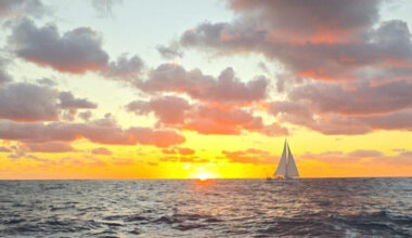 SunLive - Tauranga rescue ship heads to aid stricken yacht