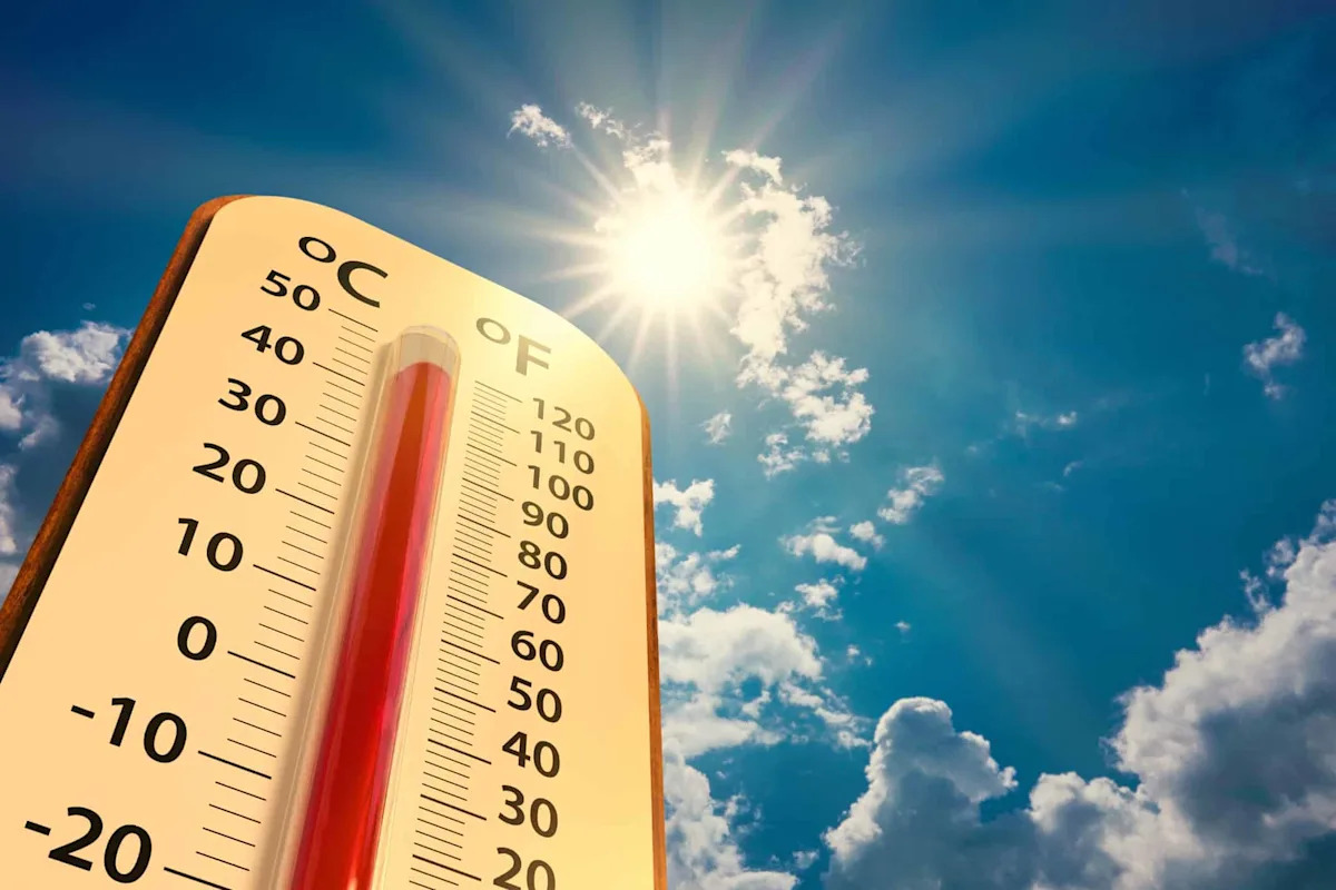 Scientists Say All Life on Earth May Follow the Same Temperature Rule