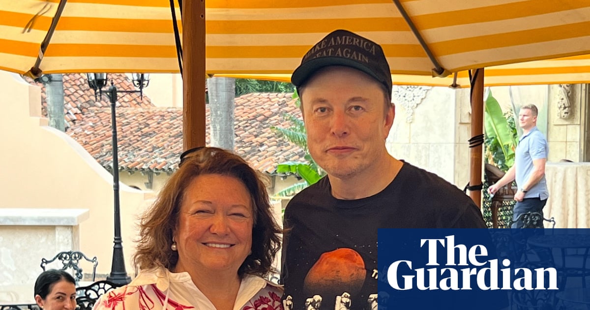 Gina Rinehart says Australia should give Elon Musk islands to launch satellites into space | Gina Rinehart