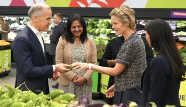 What you need to know about the federal government's grocery and essentials rebate