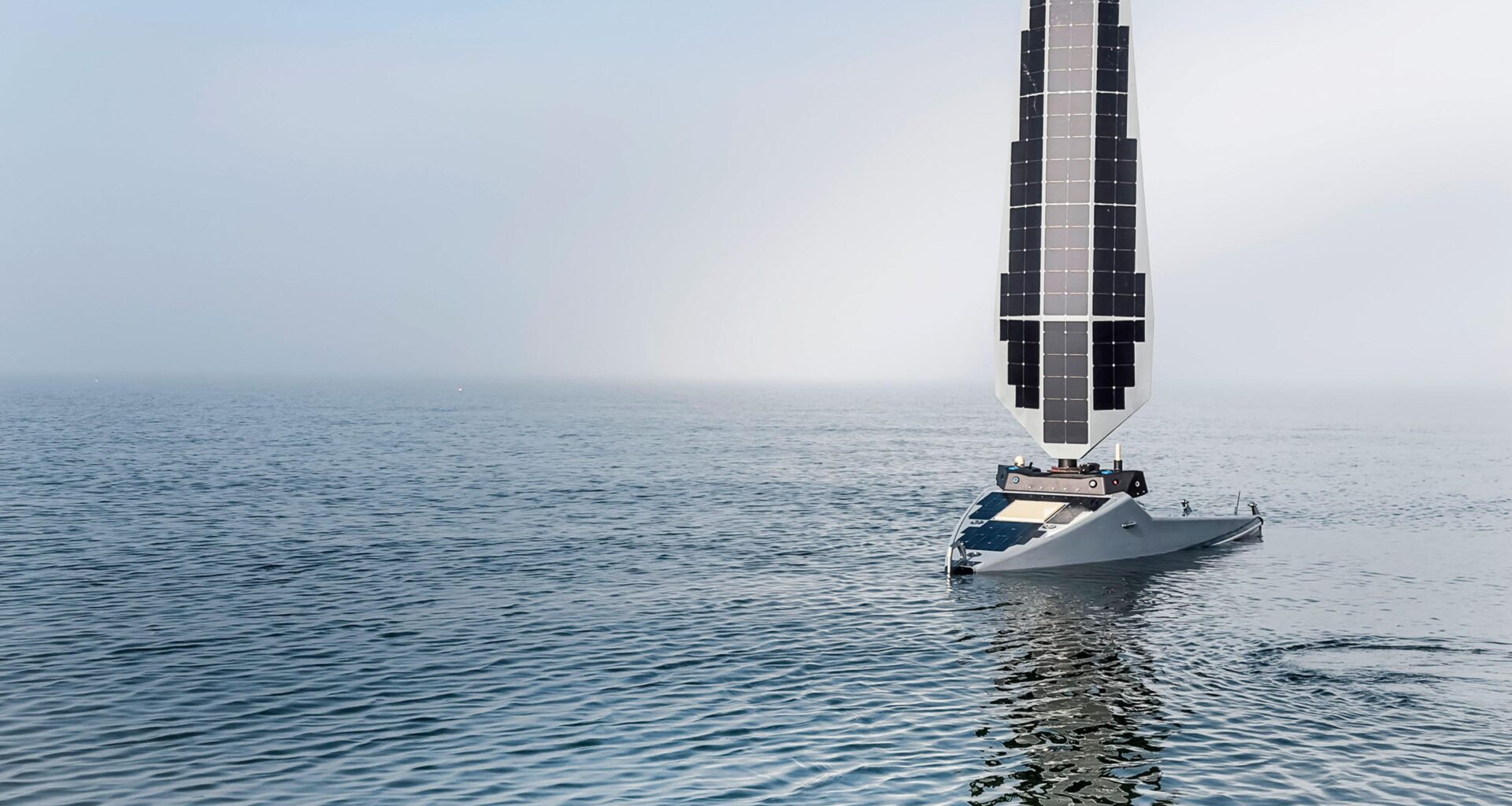 A New Wave of Investors Sees Profit in Ocean Conservation
