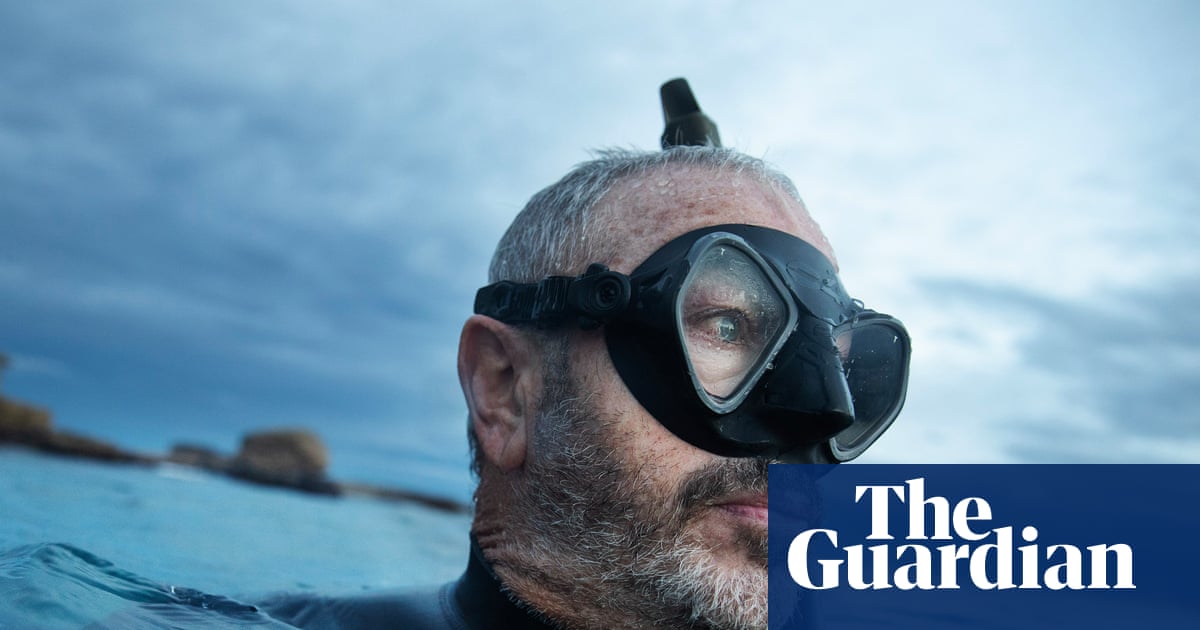A spate of shark bites has Australian ocean lovers on edge. People want to know why they’re rising | Sharks