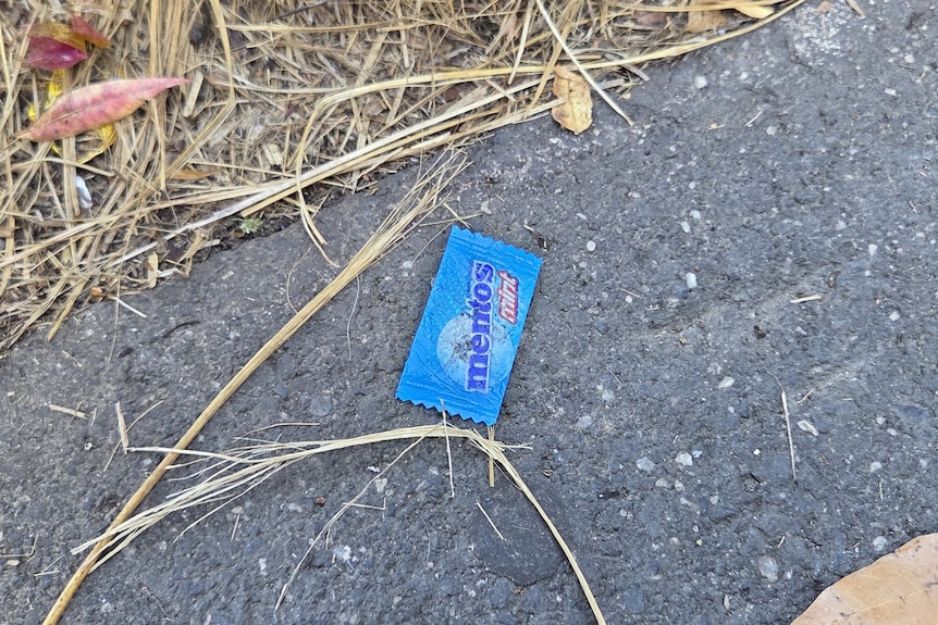 An empty individual mentos wrapper laying on an outdoor footpath.