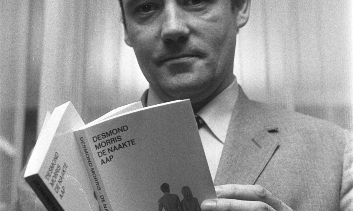 Remembering Desmond Morris, the Surrealist painter and zoologist who explored the artistic abilities of apes - The Art Newspaper