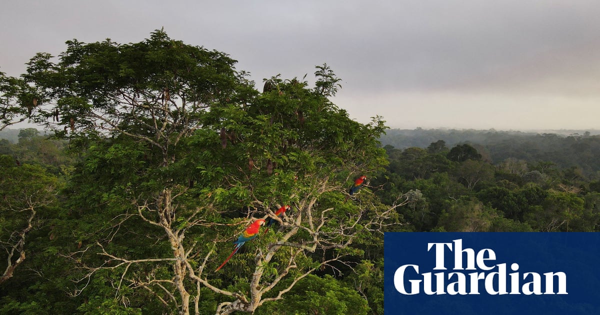 Can ecosystems ‘malfunction’? | Environment