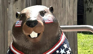 Beaver Statue Honoring the United States Is Smashed in Toronto