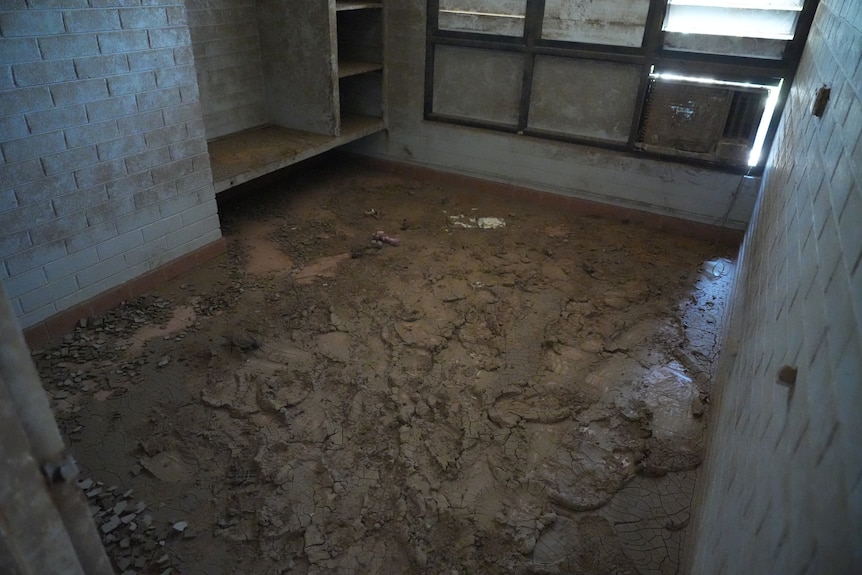 Inside a room in a house, the floor is caked in thick mud 