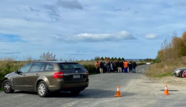 Blenheim baby found dead: Police confirm infant found on roadside was stillborn
