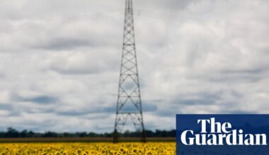 Scramble for biofuel as oil prices rise ‘could push world closer to food crisis’ | Biofuels