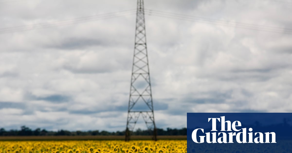 Scramble for biofuel as oil prices rise ‘could push world closer to food crisis’ | Biofuels