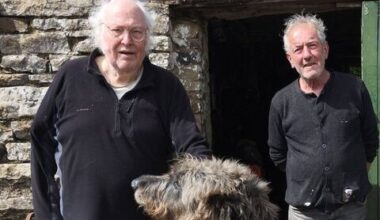 Laois artist Dain to launch painting exhibition in Mountrath  - News