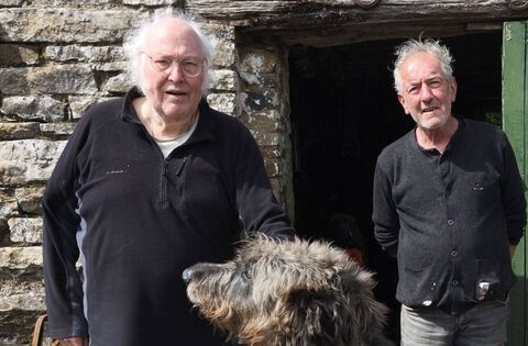Laois artist Dain to launch painting exhibition in Mountrath  - News