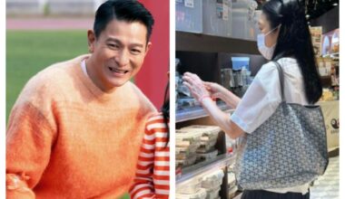 Andy Lau's M'sian wife Carol Chu seen at supermarket, praised for modest lifestyle