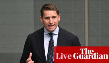 Hastie says falling house prices might not be ‘all that encouraging’ for recent buyers – as it happened | Australia news