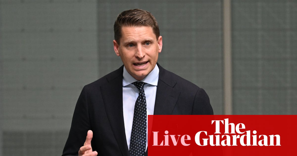 Hastie says falling house prices might not be ‘all that encouraging’ for recent buyers – as it happened | Australia news