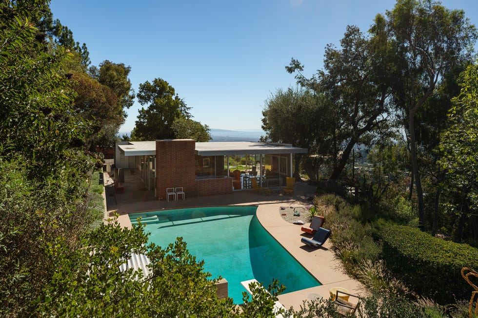 Modern house with pool surrounded by greenery