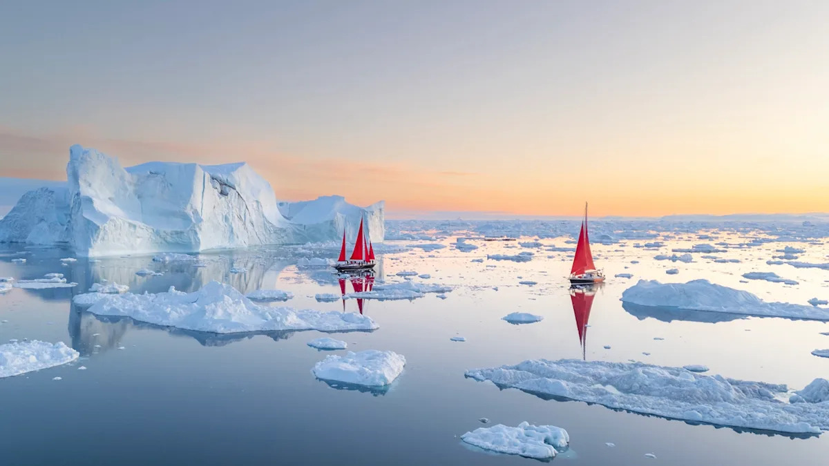 As Arctic sea ice vanishes, a vital nutrient is disappearing with it and putting the food chain at risk