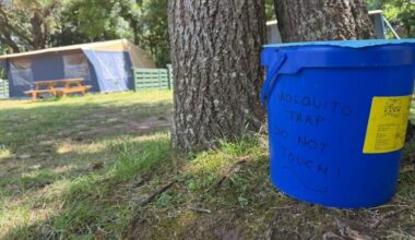 Herm campers advised to bring mosquito precautions