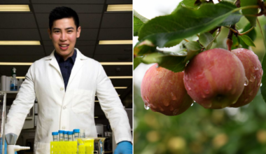 Aussie doctor hits it big in US as apple supplements make millions