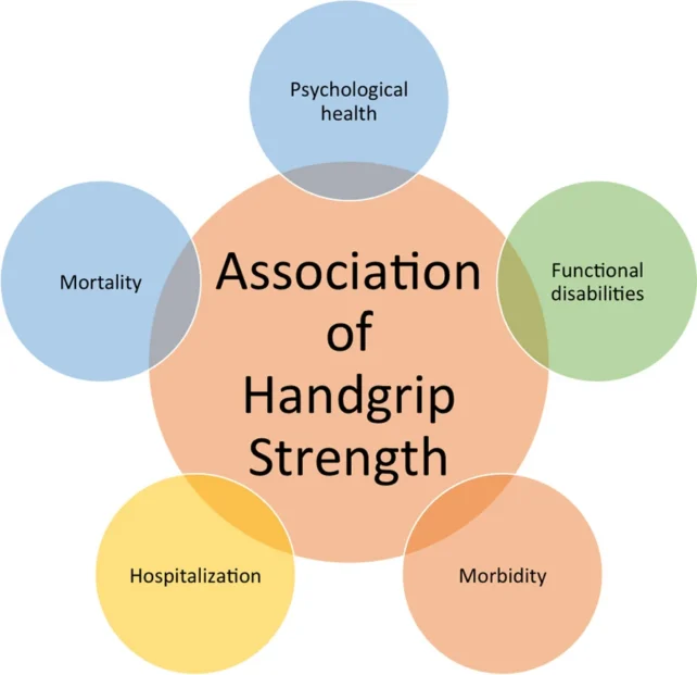 Diagram showing handgrip strength associated with several health outcomes, including mortality, psychological health, functional disabilities, morbidity, and hospitalization.