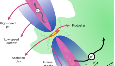 Evidence for protostellar jets as a population of hadronic gamma-ray sources