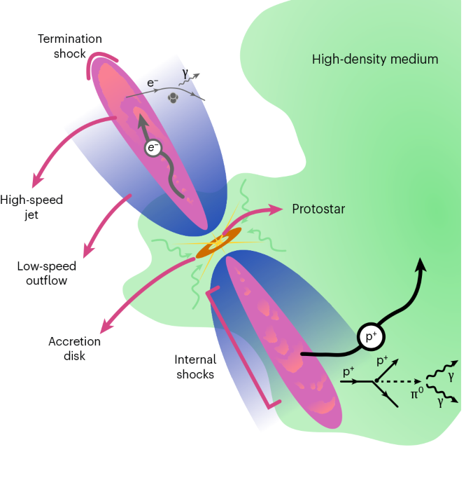 Evidence for protostellar jets as a population of hadronic gamma-ray sources