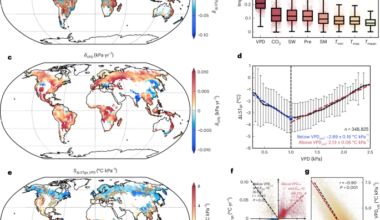Globally constrained forest biophysical cooling benefits under rising atmospheric dryness