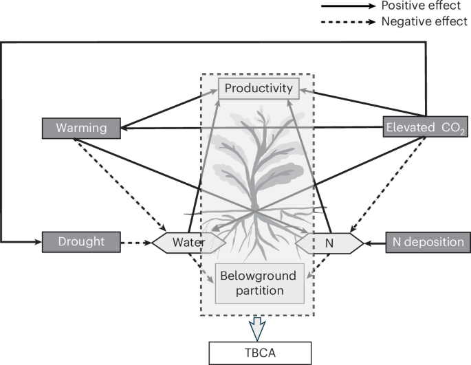 Long-term multiple global change interactions amplify belowground carbon allocation