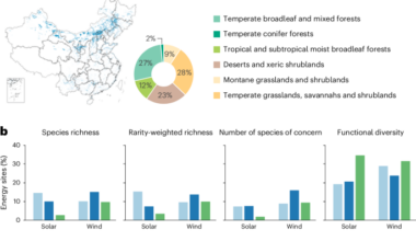 Different planning scales for renewable expansion yield distinct biodiversity trade-offs in China