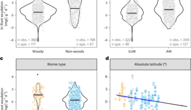 Latitudinal patterns and environmental correlates of plant root exudation
