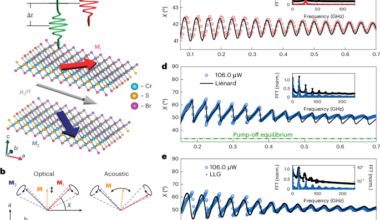Excitonic spin torque in a magnetic semiconductor