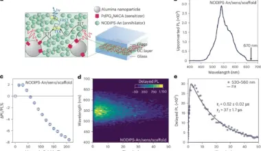 Increasing Photon Upconversion Efficiency With Structural Exciton Localization