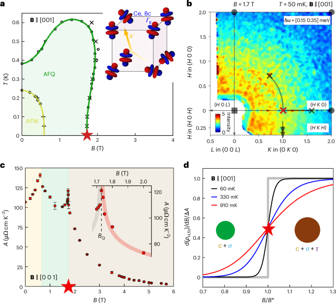 Quantum Fisher information in a strange metal