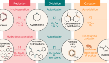 Lignin to adipic acid in a high-yield chemical and biological redox process