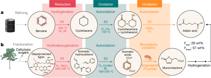 Lignin to adipic acid in a high-yield chemical and biological redox process