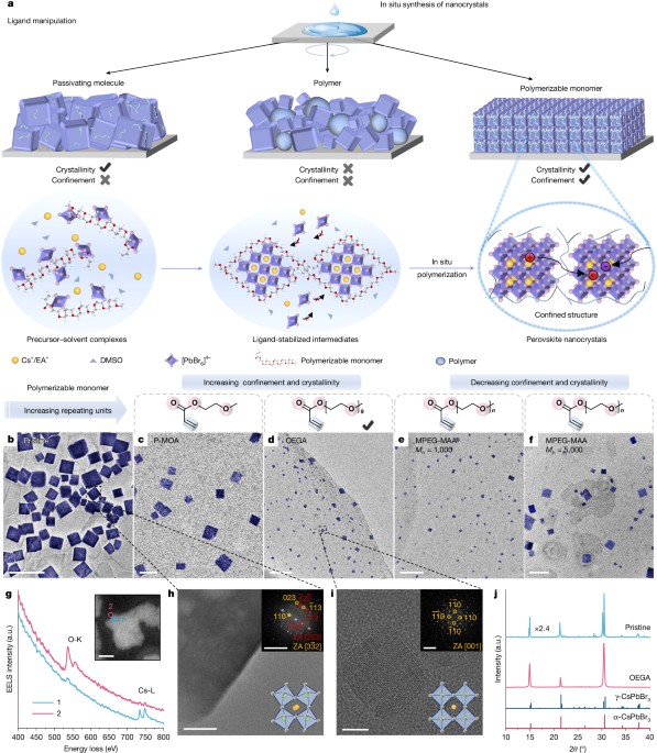 In situ nanocrystal confinement for efficient blue perovskite LEDs