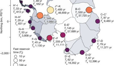 Emergent decadal predictability in Antarctic contribution to sea-level rise