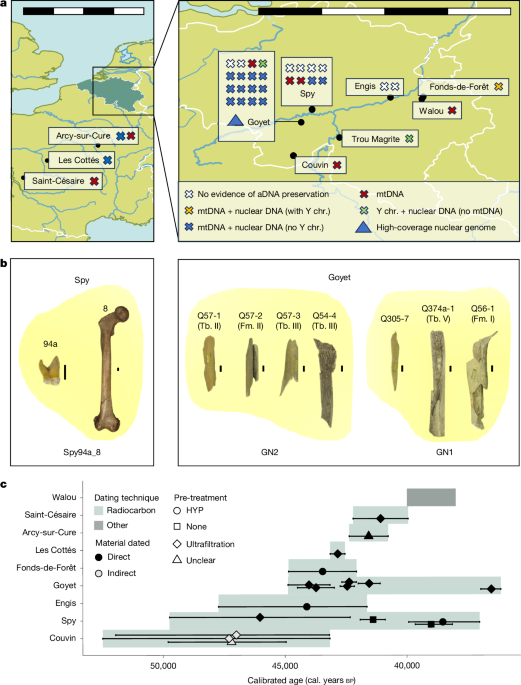 Genetic diversity of late Neanderthals in northwestern Europe