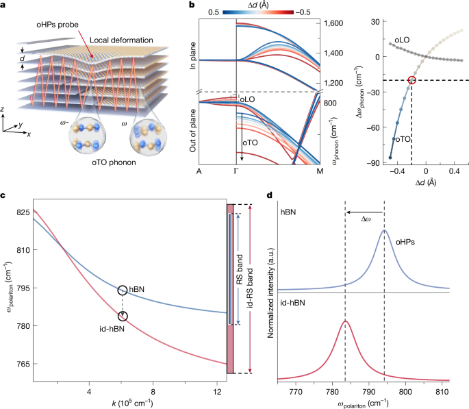 Probing picometre-scale interlayer deformations via hyperbolic polaritons