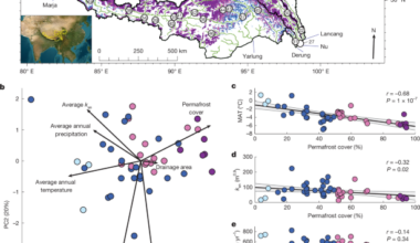 Rock weathering can counteract river CO2 emissions induced by permafrost thaw