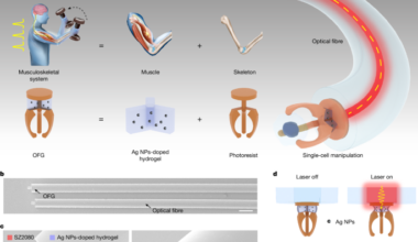 Optical fibre gripper for high-performance 3D micromanipulation