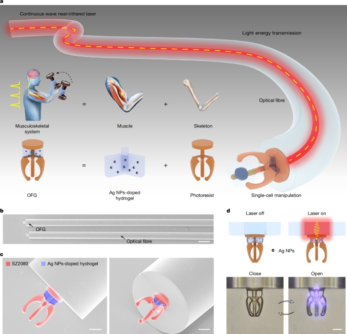 Optical fibre gripper for high-performance 3D micromanipulation