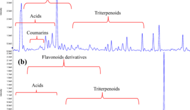 Microbial biotransformation of Syzygium australe modifies metabolomic profile assessed with multivariate analysis and molecular networking: In vitro and computational studies