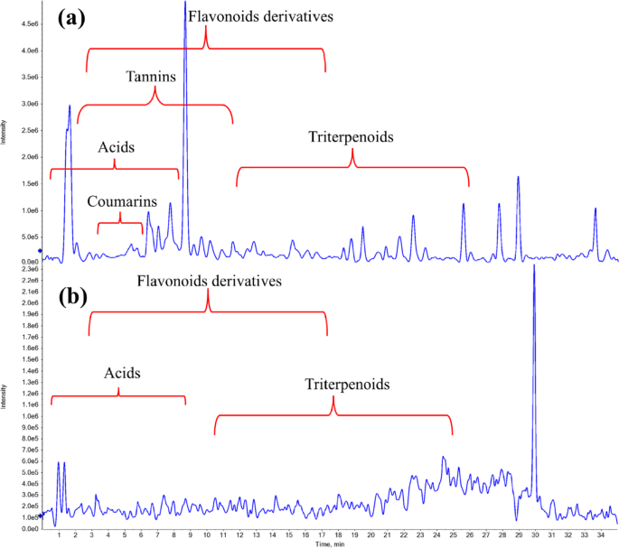 Microbial biotransformation of Syzygium australe modifies metabolomic profile assessed with multivariate analysis and molecular networking: In vitro and computational studies
