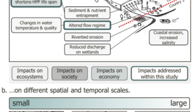 Integrated impact quantification of proposed hydropower plants in Africa