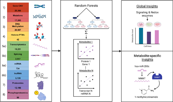 Metab8D: a metabolic regulome network from multiomics and machine learning