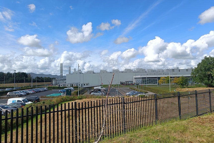 Black grated fence with factories in the distance.
